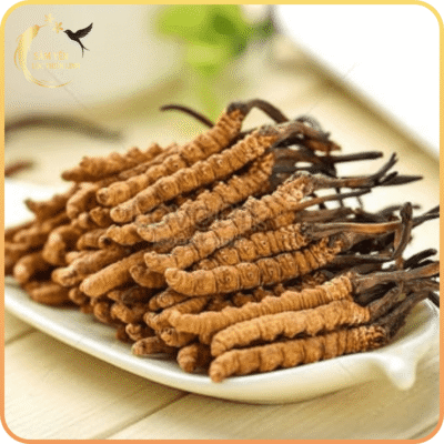 Cận cảnh bó đông trùng hạ thảo Tây Tạng size 20-22 con/10g loại thượng hạng, món quà biếu sức khỏe đẳng cấp và tinh tế tại Lộc Thiên Linh.