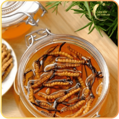 Đông trùng hạ thảo Tây Tạng size 20-22 con/10g ngâm mật ong rừng giúp bổ phổi, tăng cường sinh lực và làm chậm quá trình lão hóa da hiệu quả.