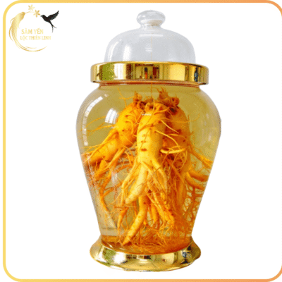 Bình rượu sâm tươi Hàn Quốc 6 năm tuổi loại 5 củ/kg điêu khắc nghệ thuật sang trọng trưng bày tại showroom Lộc Thiên Linh.