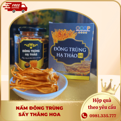 Nấm Đông Trùng Hạ Thảo Sấy Thăng Hoa L2 20 Gram