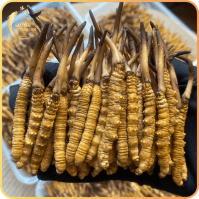 dong-trung-ha-thao-tay-tang-size-30-con-nguyen-con