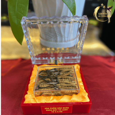 Hộp quà biếu đông trùng hạ thảo Tây Tạng size 50 con/10g đóng gói trong khay pha lê sang trọng lót nhung vàng.