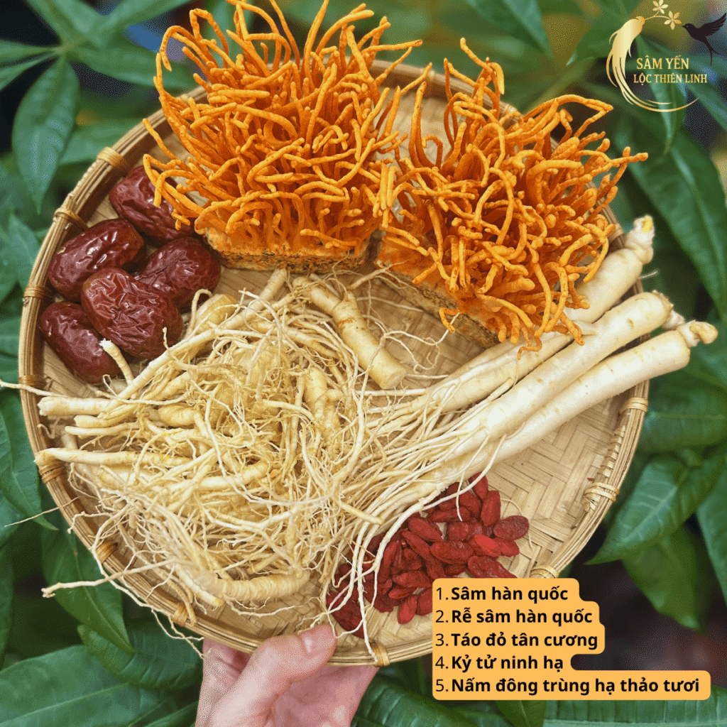 Hình ảnh thực tế Combo Ngũ Bổ Sinh Lực hỗ trợ tăng đề kháng, cải thiện giấc ngủ và giảm mệt mỏi cho người mới ốm dậy.