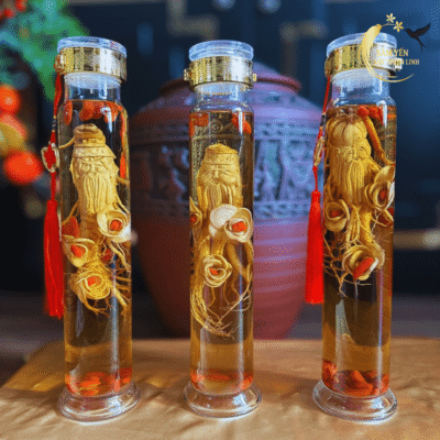 Sản phẩm rượu sâm Tam Đa 1 lít ngâm cùng rượu men lá Hòa Bình 38 độ thơm êm trưng bày cạnh chum sành hạ thổ.