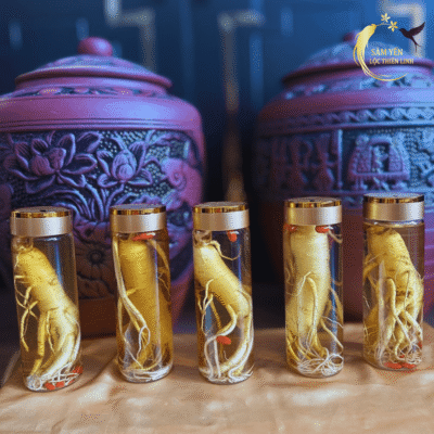 Dàn bình sâm Hàn Quốc 500ml giá 300k phù hợp làm quà biếu sức khỏe ý nghĩa cho đối tác và người thân tại Hà Nội.