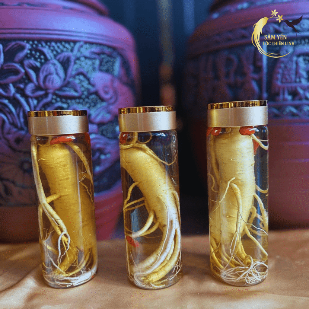 Bộ 3 bình sâm Hàn Quốc 500ml ngâm rượu men lá Hòa Bình trưng bày cạnh chum sành hạ thổ tại Lộc Thiên Linh.