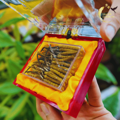 Hình ảnh mở hộp đông trùng hạ thảo Tây Tạng thật giúp khách hàng quan sát độ chắc thịt và màu sắc tự nhiên của sản phẩm.