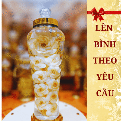 Bình rượu hoa sâm 7 lít ngâm rượu men lá Hòa Bình 38 độ thơm ngon, món quà biếu sức khỏe ý nghĩa và sang trọng.