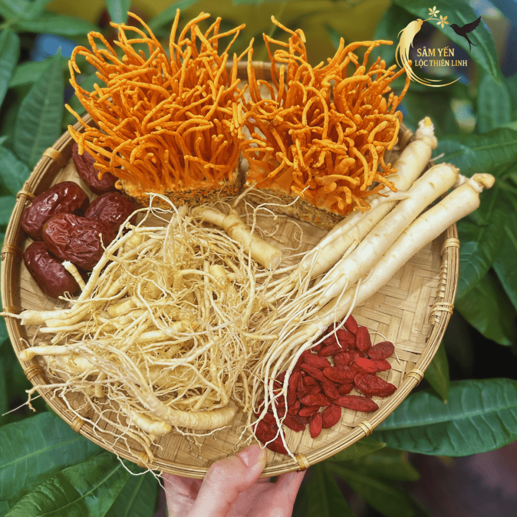 Combo Ngũ Bổ Sinh Lực gồm sâm Hàn Quốc, đông trùng hạ thảo tươi, táo đỏ và kỷ tử giúp bồi bổ sức khỏe tại Lộc Thiên Linh.