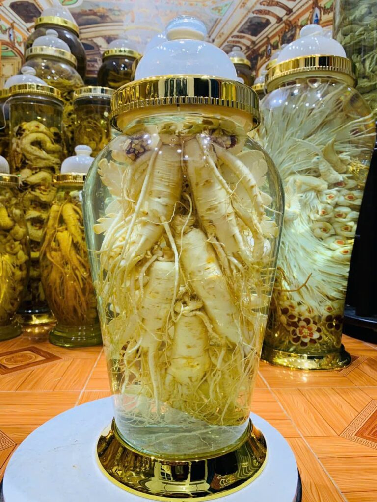 Thông số kỹ thuật bình hoa sâm trụ bầu 13.2 lít với chiều cao 54cm và chu vi 80cm phù hợp trưng bày phòng khách.