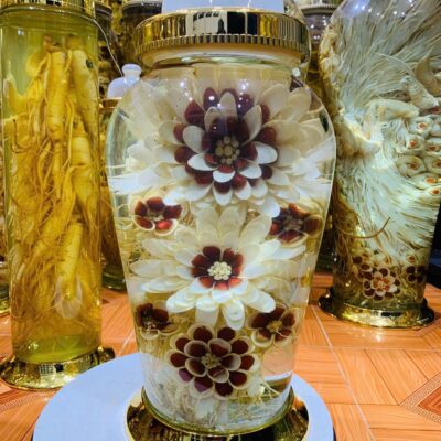 Bình rượu hoa sâm 13.2 lít ngâm rượu men lá Hòa Bình 38 độ thơm êm, món quà sức khỏe đẳng cấp trưng bày tại showroom.