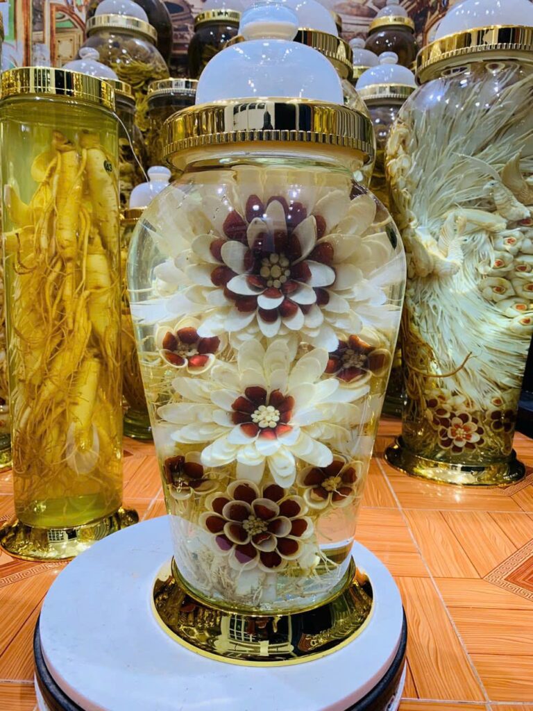 Bình rượu hoa sâm 13.2 lít ngâm rượu men lá Hòa Bình 38 độ thơm êm, món quà sức khỏe đẳng cấp trưng bày tại showroom.