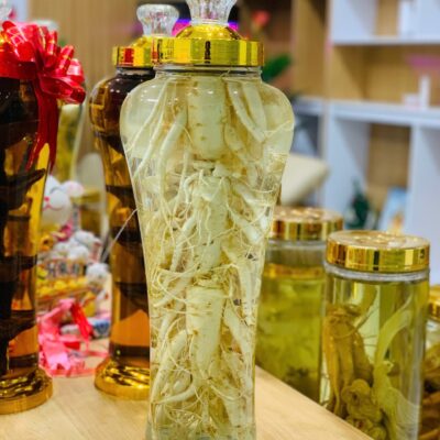 Bình rượu sâm tươi Hàn Quốc 6 năm tuổi nguyên củ thượng hạng chuẩn bị cho quy trình điêu khắc hoa sâm nghệ thuật tại Lộc Thiên Linh.