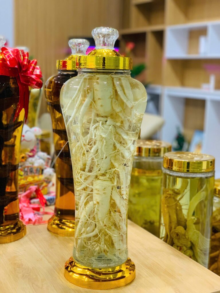 Bình rượu sâm tươi Hàn Quốc 6 năm tuổi nguyên củ thượng hạng chuẩn bị cho quy trình điêu khắc hoa sâm nghệ thuật tại Lộc Thiên Linh.