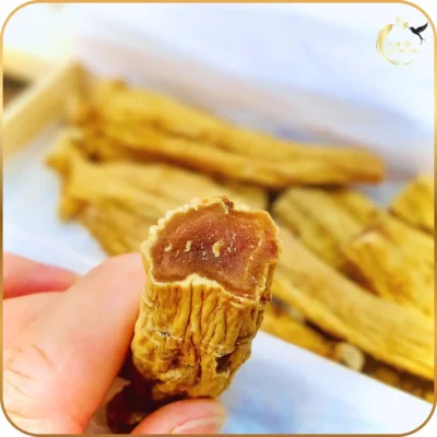 Hình ảnh mặt cắt củ Thiên Sâm KKG cho thấy chất lượng sâm đặc, màu hồng đậm đặc trưng của sâm 6 năm tuổi đạt chuẩn chất lượng cao.