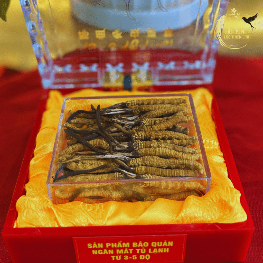 Sản phẩm đông trùng hạ thảo Tây Tạng tại Lộc Thiên Linh có nhãn hướng dẫn bảo quản ngăn mát tủ lạnh giúp giữ trọn dược chất.