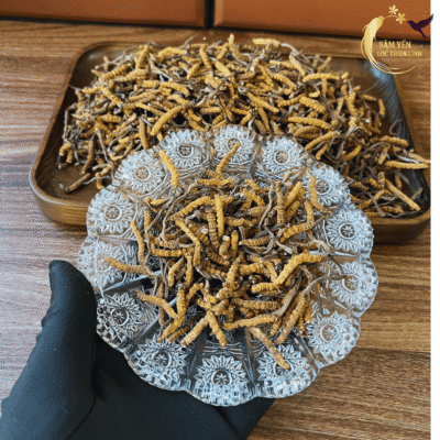 Đông trùng hạ thảo Bhutan mắt đỏ loại gãy size 60-70 con trên 10g được tuyển chọn kỹ lưỡng chuẩn 100% tự nhiên