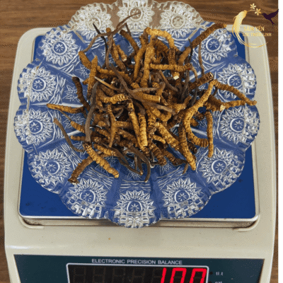 Quy trình cân đủ 10g đông trùng hạ thảo Bhutan mắt đỏ mã gãy đảm bảo minh bạch và quyền lợi cho khách hàng