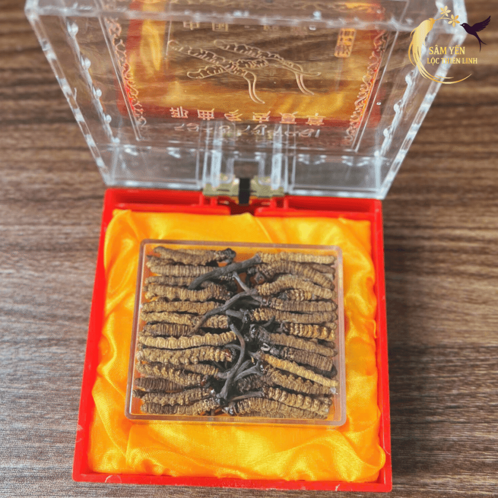 Hộp quà biếu đông trùng hạ thảo Bhutan mắt đỏ loại gãy sang trọng giữ trọn dược tính tại Sâm Yến Lộc Thiên Linh