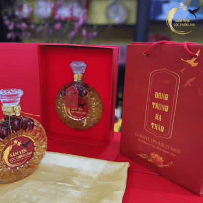 Bộ quà tặng rượu sâm nấm đông trùng hạ thảo 500ml gồm bình thủy tinh tinh xảo, hộp và túi giấy đỏ sang trọng tại Lộc Thiên Linh.
