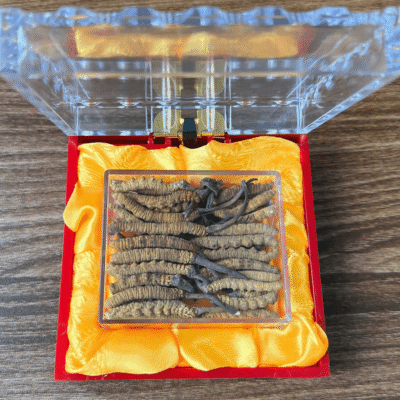 Hộp quà biếu sang trọng chứa đông trùng hạ thảo Nepal gãy VIP món quà sức khỏe ý nghĩa dành tặng người thân và đối tác