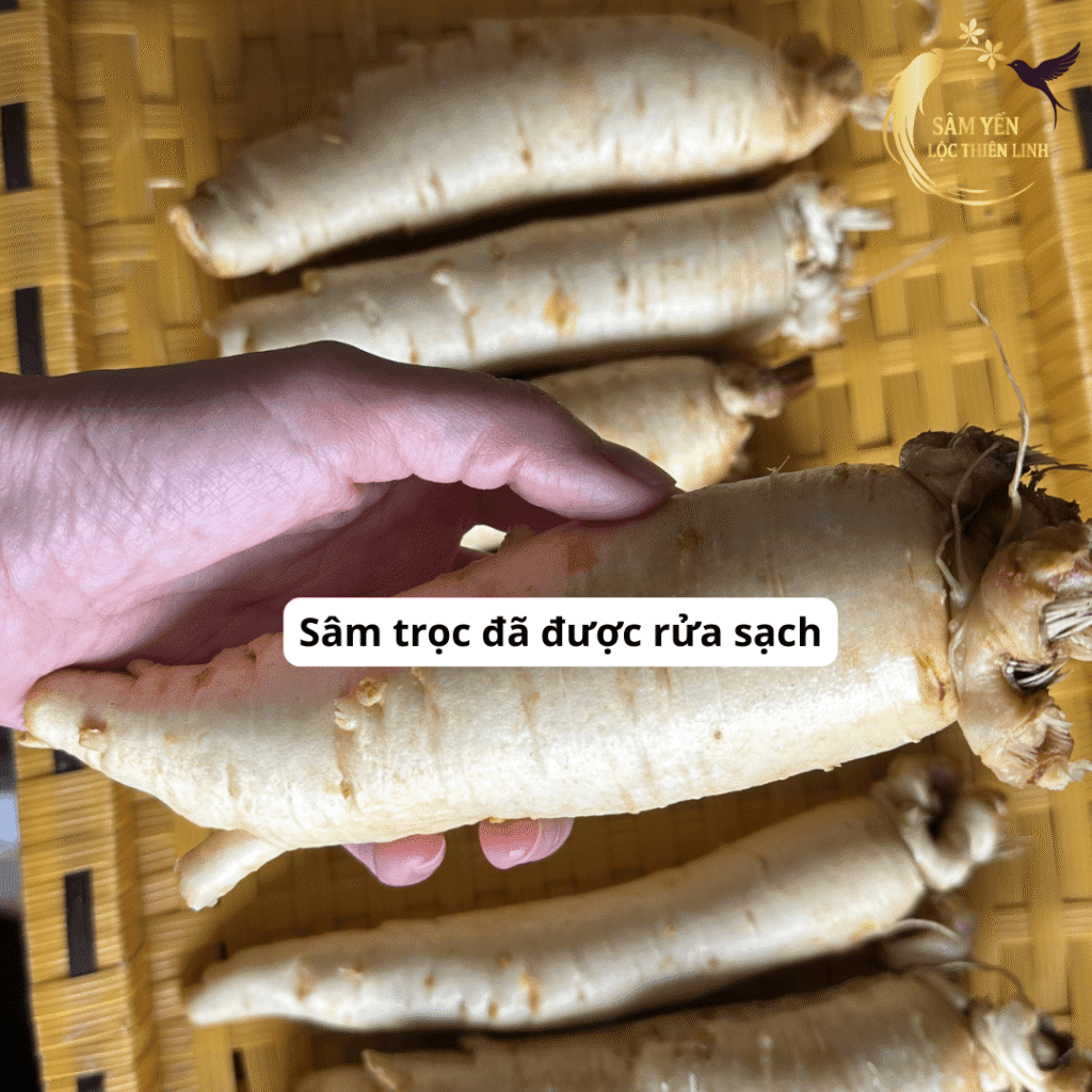 Những củ nhân sâm trọc Hàn Quốc loại 8 củ trên 1kg đã được rửa sạch trắng nõn sẵn sàng để thái lát ngâm mật ong