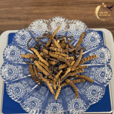 Quy trình cân đo đông trùng hạ thảo Nepal gãy VIP chính xác từng gram đảm bảo quyền lợi khách hàng tại Lộc Thiên Linh