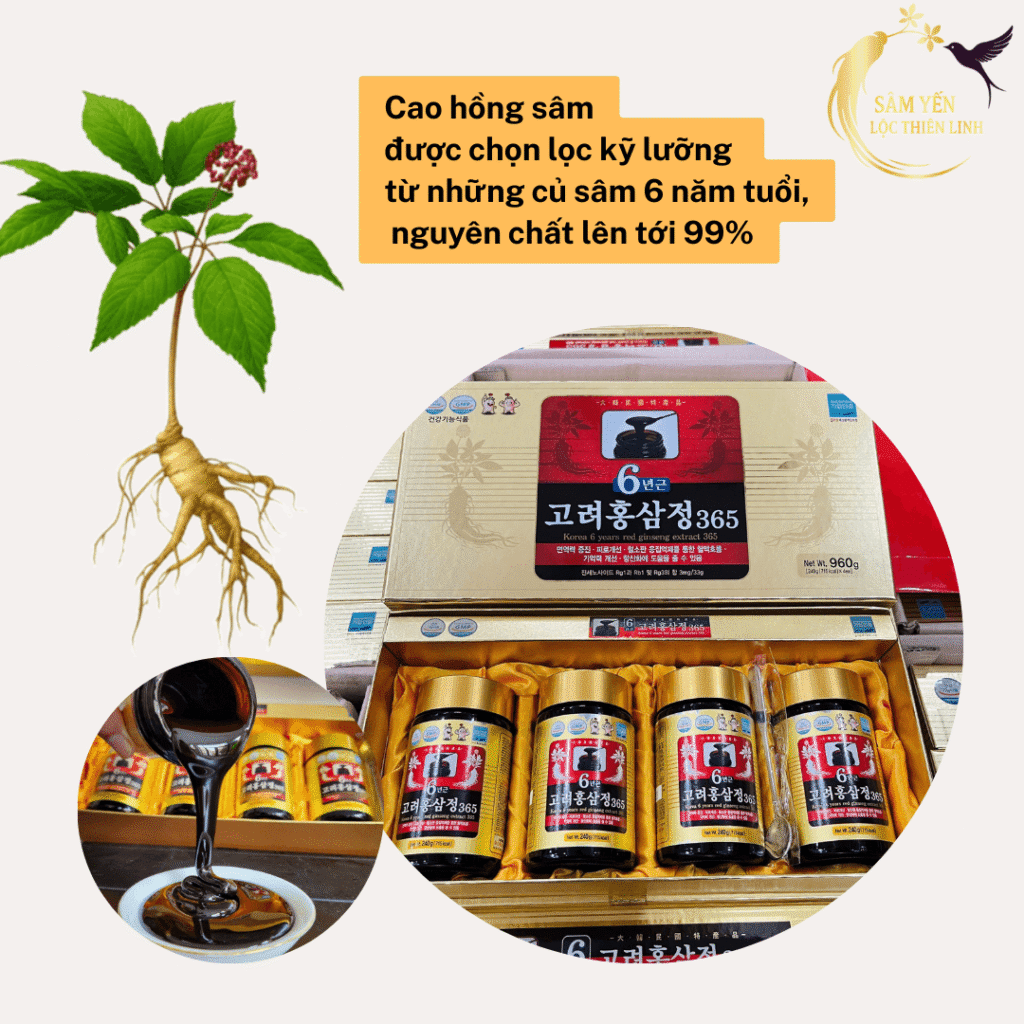 Cao hồng sâm 365 Hàn Quốc chiết xuất nhân sâm 6 năm tuổi tại Sâm Yến Lộc Thiên Linh