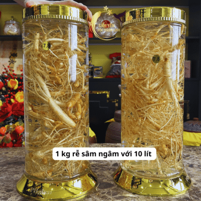 Thành phẩm 1kg rễ nhân sâm tươi Hàn Quốc ngâm trong bình thủy tinh 10 lít sang trọng tại showroom Lộc Thiên Linh