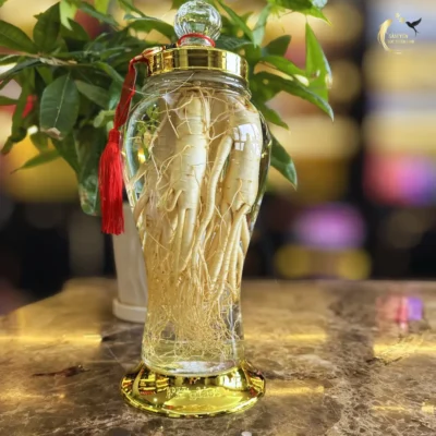 Bình sâm Phú Quý 4 lít dáng trụ chiêu tài giữ lộc trưng bày phòng khách sang trọng