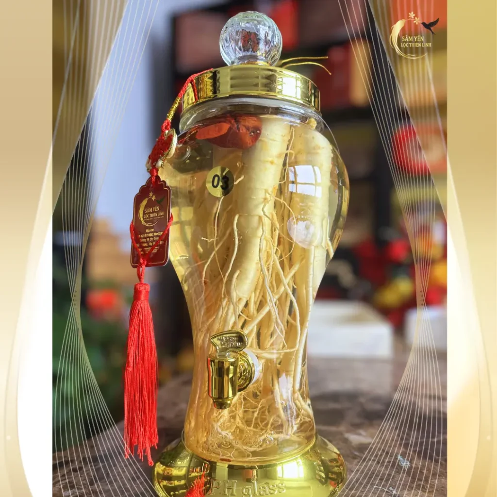 Cận cảnh 3 củ sâm Hàn Quốc size 10 trong bình sâm Phú Quý 3 lít Lộc Thiên Linh