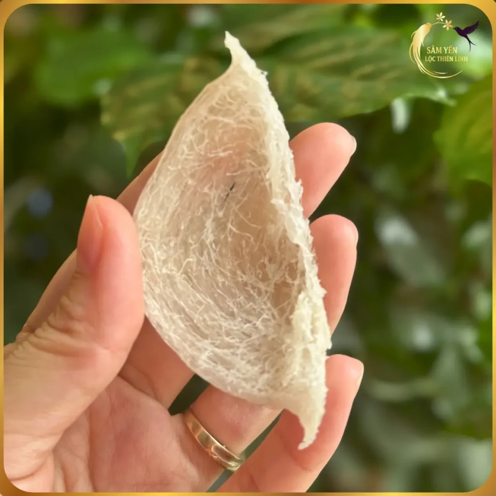 Hình ảnh tổ yến sào rút lông khô Nha Trang nguyên tổ, giữ nguyên hình dáng chiếc muỗng tự nhiên, sợi yến bám chặt, sạch lông. Sản phẩm không sử dụng chất tẩy trắng, an toàn cho sức khỏe. Quà biếu đẳng cấp từ Lộc Thiên Linh.