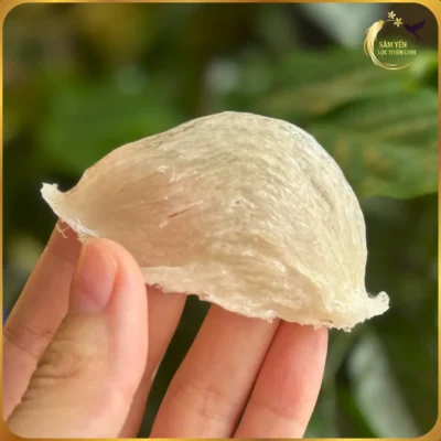 Cận cảnh sợi yến sào rút lông khô Nha Trang, sợi to dai, giữ trọn mùi thơm tanh đặc trưng của biển cả. Quy trình rút lông khô tỉ mẩn bảo tồn dưỡng chất quý báu. Sâm Yến Lộc Thiên Linh cam kết chất lượng vàng.